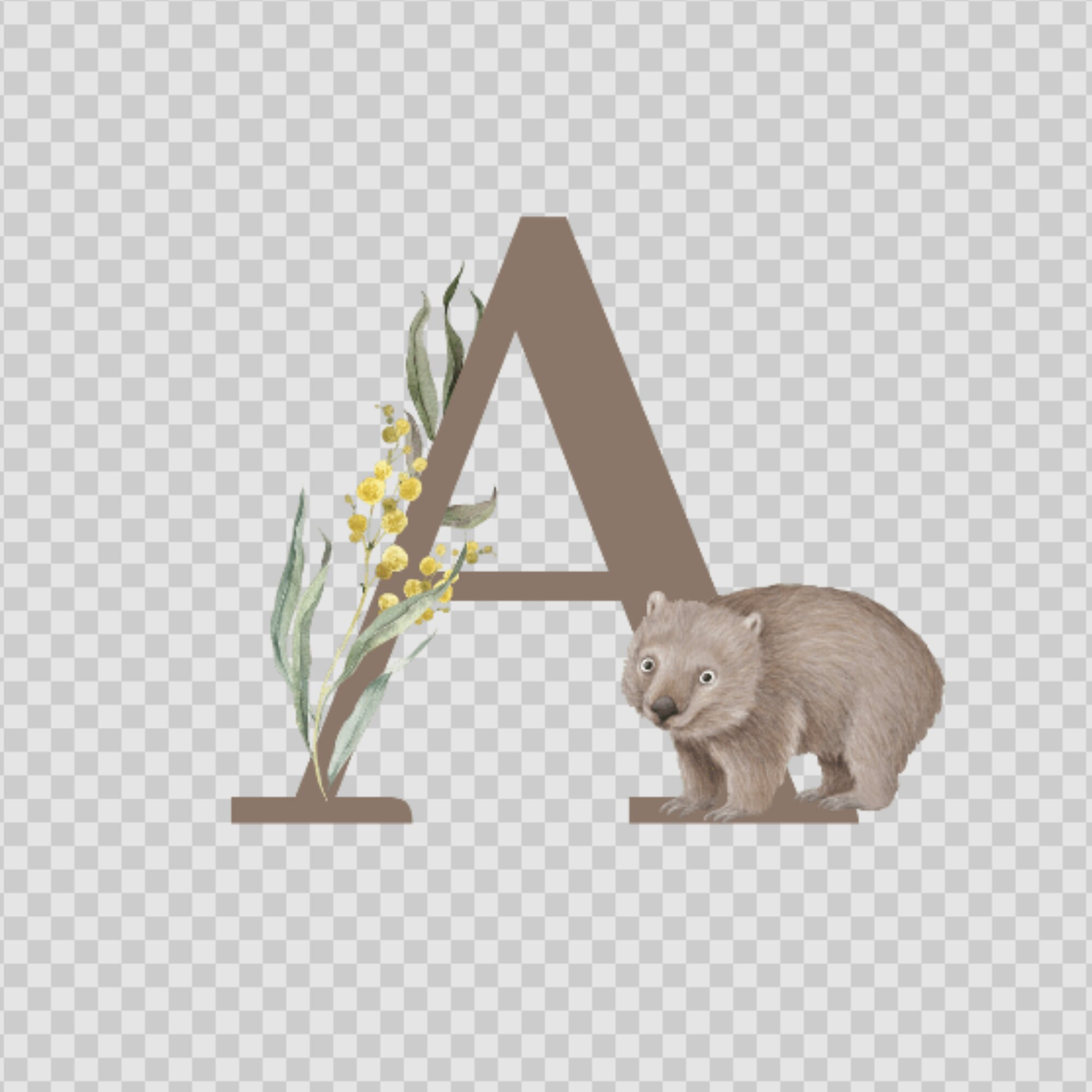 Australian Alphabet A-Z | Transparent Background | Template Included ...