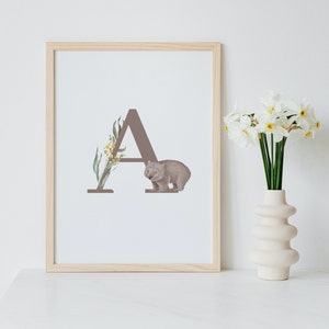 Australian Alphabet A-Z | Transparent Background | Template Included  | All Letters Included | Digital Download
