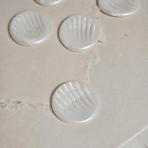 Può includere: Diversi bottoni bianchi e rotondi con una lucentezza perlacea. Ogni bottone presenta un motivo a coste a forma di ventaglio sulla sua superficie. I bottoni sono sparsi su una superficie chiara e strutturata.