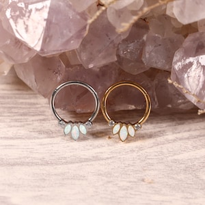 316L Surgical Steel Opal CZ Hinged Segment Hoop Ring