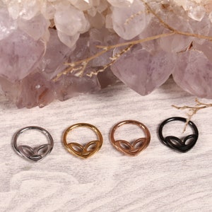 Alien 316L Surgical Steel Hoop Earrings Hinged Segment Hoop Ring
