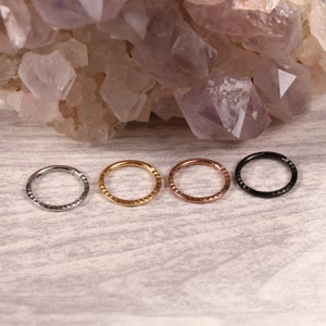 16G Hinged Septum Click Ring Nose Ring Surgical Steel Daith Earring Couch Daith Rook Tragus Piercing Jewelry Small Hoop Earrings