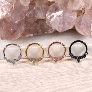 316L Surgical Steel CZ Hinged Segment Hoop Ring