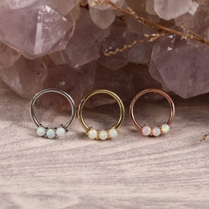Opal Hinged Segment Hoop Ring 316L Surgical Steel Nose Earring Hoop White Opal
