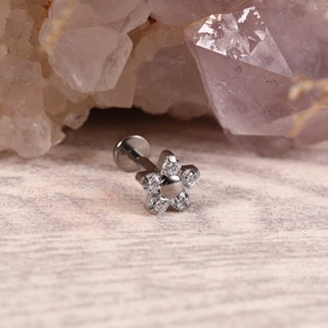 G23 Titanium Rabe Stud 16G Lip Piercing Internal Thread Medusa Ring Cartilage Monroe Piercing Jewelry
