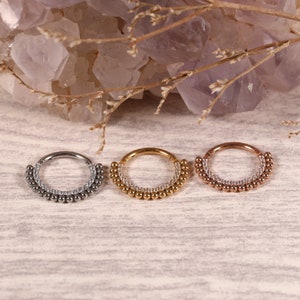 316L Surgical Steel CZ Hinged Segment Hoop Ring Nose Earring Hoop