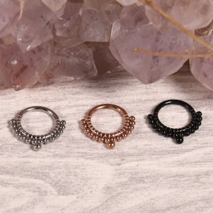 Hinged Segment Hoop Rings 316L Surgical Steel Nose Earring Hoop