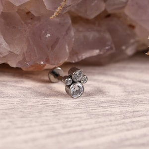 G23 Titanium Rabe Stud 16G Lip Piercing Internal Thread Medusa Ring Cartilage Monroe Piercing Jewelry