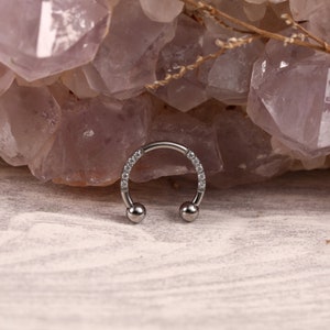 G23 Titanium Circular Barbell/Horseshoe CZ Nose Earring Hoop