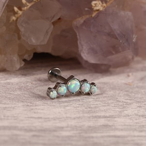 G23 Titanium Internally Threaded 16G 18G 5/mm6mm/7mm/8mm/10mm Flat Back Stud for Labret Monroe Cartilage and More