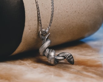 Snake Wrapping Around Moon Silver Necklace, Serpent and Crescent Fantasy Men Necklace, Sterling Silver Gothic Necklace, Cool Men Necklace