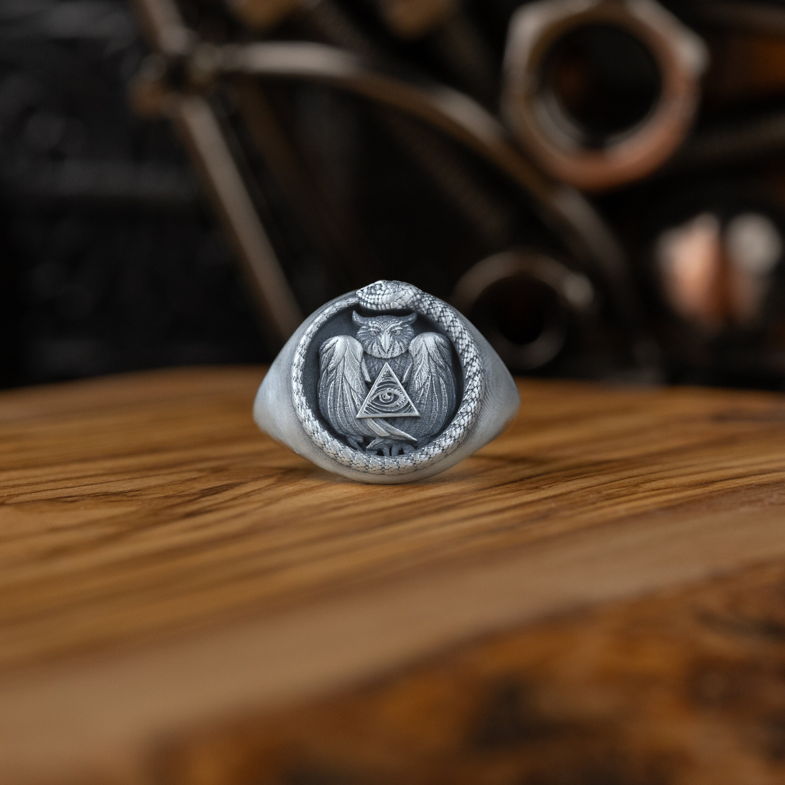 Snake Ouroboros Owl Eye Of Providence Silver Men Ring, Freemasonry Sign Men Ring, Engraved Signet Ri