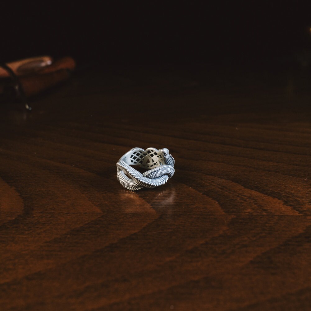 Twisted Snake Ring, Ouroboros Snake Sterling Silver Mens Ring, Snake ...