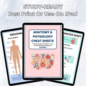 Anatomy & Physiology Study Guide Bundle | Nursing School Notes (PDF) - Etsy