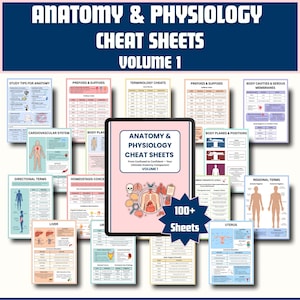 Anatomy & Physiology Bundle with Flashcards and Stickers | Anatomy Study Guide | Nursing School Notes | Medical Notes | Instant Download PDF