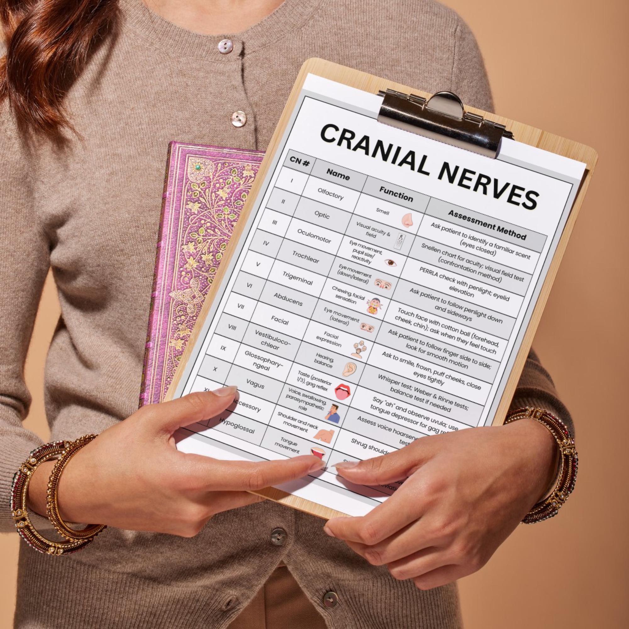 健康・医学 Cranial Participant Guide Cranial Nerves Reference Sheet/table/study Guide - Perfect for