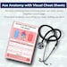 Anatomy & Physiology Study Guide Bundle | Nursing School Notes (PDF) - Etsy