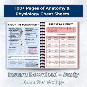 Anatomy & Physiology Study Guide Bundle | Nursing School Notes (PDF) - Etsy