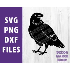 Corvo Corvo SVG / Majestic Bird Silhouette / SVG PNG DXF / Silhouette Cricut Cameo / Arte vettoriale digitale / Design trendy Corvo Corvo