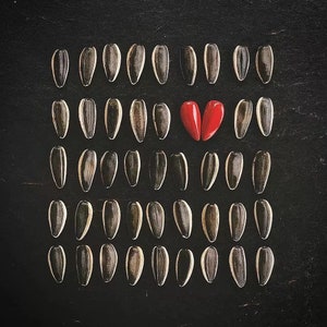 Puede incluir: Un fondo negro con una cuadrícula de semillas de girasol, con dos corazones rojos en el centro.