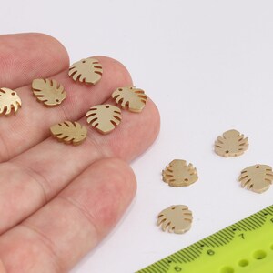 Op de afbeelding: Een verzameling van acht goudkleurige metalen bedels in de vorm van monstera bladeren. De bedels hebben een gaatje bovenaan om aan sieraden of andere knutselwerkjes te bevestigen.