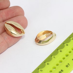 17x25mm Raw Brass Cowrie, Cowrie Charms, sea shell   MBGMTE905