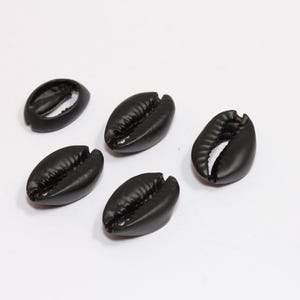 May include: Six black cowrie shells, a type of sea shell, are arranged on a white surface.