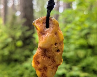 Colgante de ámbar báltico: piedra curativa natural, cordón ajustable
