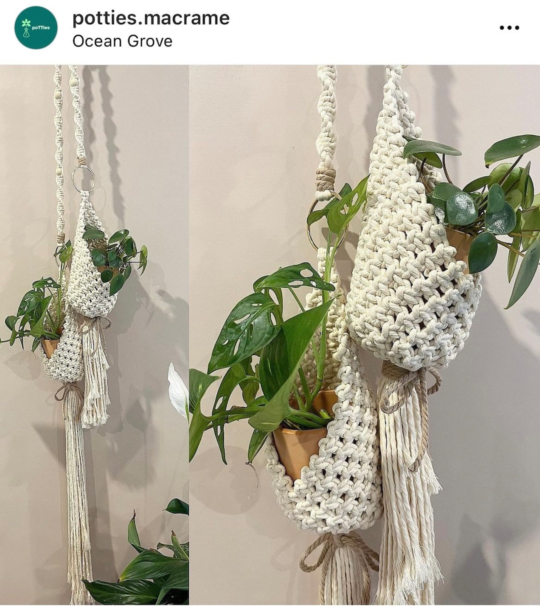Long Hanging Plant Pods Etsy