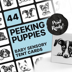 Baby Sensory Tent Cards, High Contrast Baby Cards in Black and White, Peeking Puppies, Animal prints, Baby Montessori, Newborn gift