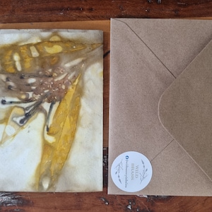 Eco-dyed botanical cards