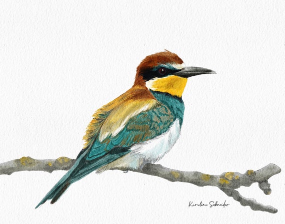 Bee-eater on Watercolor Paper 