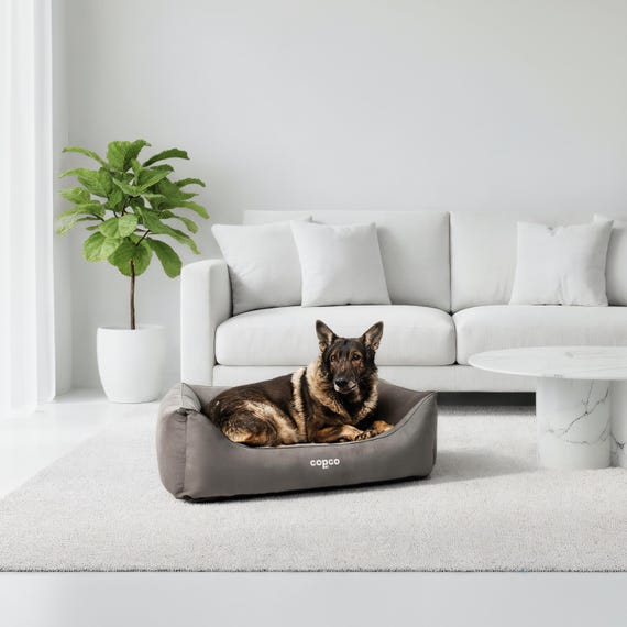 hundebett otto DuePuntoOtto Hundebett Henri | Chocolate