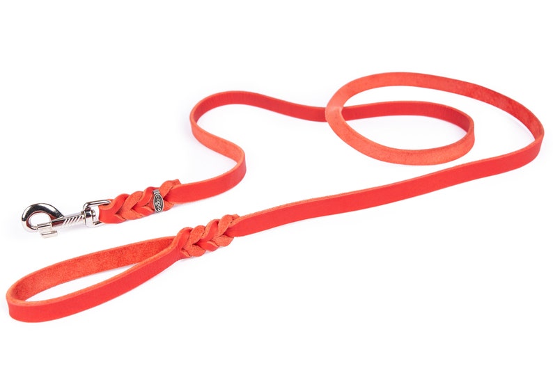 CopcoPet dog leash fat leather leash leather leash tracking leash carabiner chrome-plated Rot