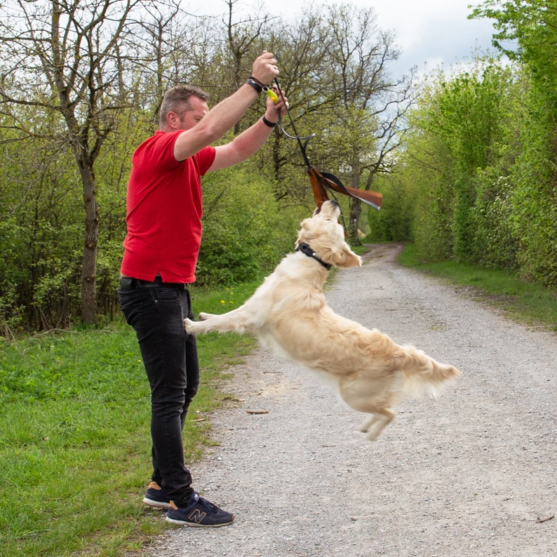 CopcoPet Interaktives Hundespielzeug, Zerrspielzeug, Hetzlappen aus Leder Bild 4