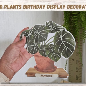 Présentoir d'anniversaire BOHO PLANTS | Carte d'anniversaire | Plantes | Plantes bohèmes | Décoration de salle de classe sur le thème bohème