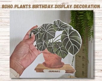 Verjaardagsdisplay bohoplanten: aquarel klaslokaaldecoratie (pdf)