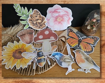 Nature  Decals Cut out Wall decoration Printable / Home school activity learning
