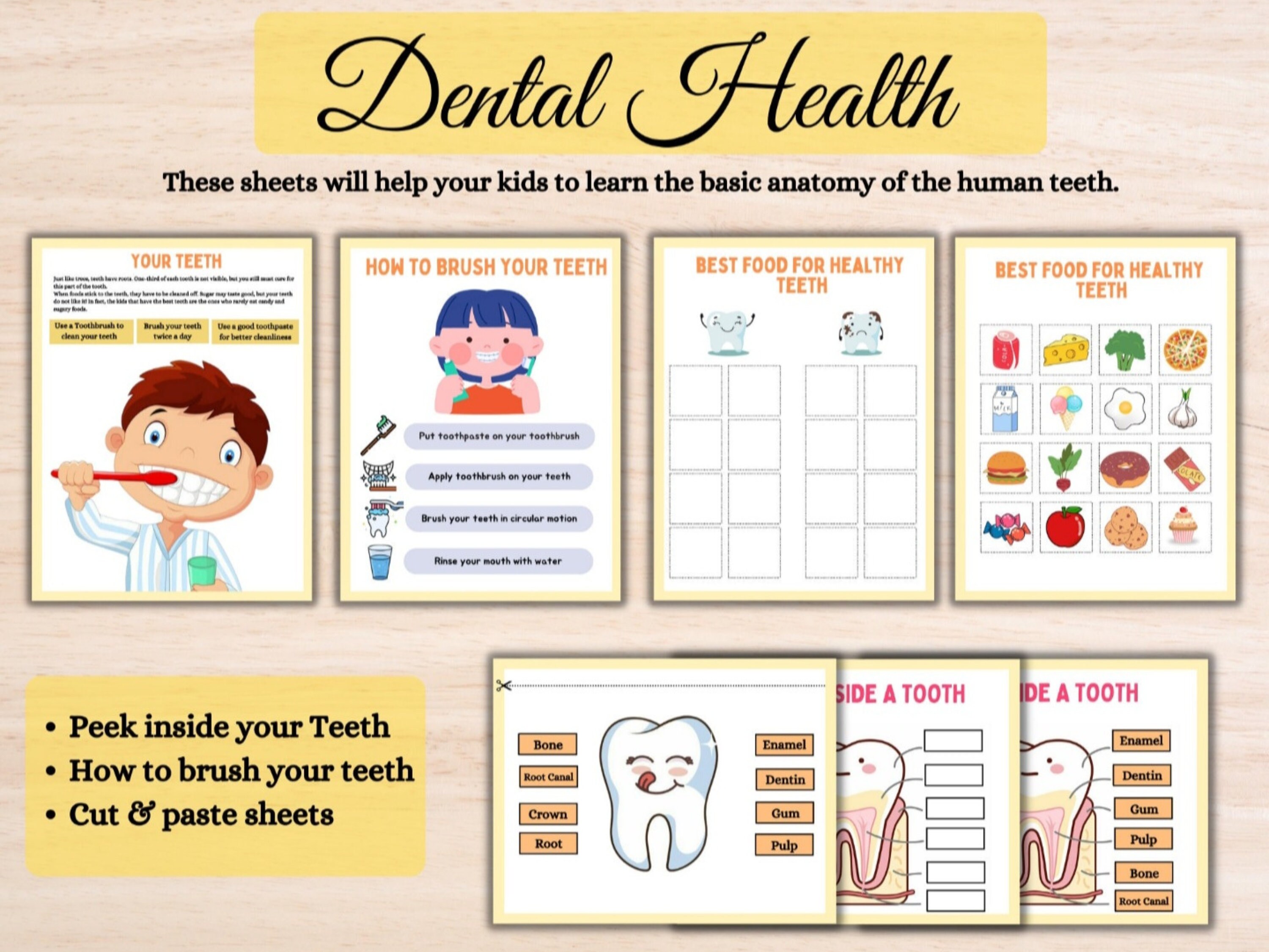 Human Anatomy Busy Book Printable Preschool Worksheets Homeschool ...