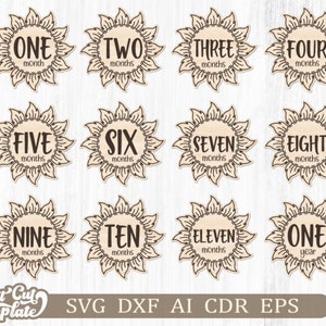Conjunto de hitos mensuales de Sun Baby SVG, paquete de 12 hitos, marcadores de fotos, archivos cortados con láser, archivos glowforge, Milestone svg Cricut, plazma cnc.