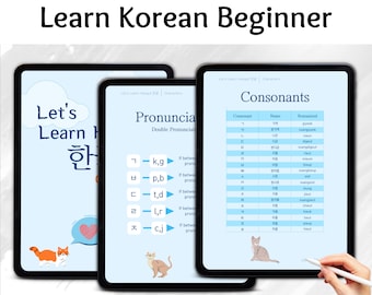 Learn To Write Korean Ebook, Learn Korean PDF, Korean Study Characters, Tracing Characters, iPad Learning, Korean Alphabet, Gift For Student
