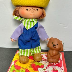 Strawberry Shortcake HUCKLEBERRY PIE With Pupcake American Greetings AGC Kenner Booklet