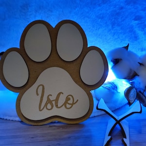 May include: A wooden paw print with the name "I sco" engraved on it. The paw print is light brown with a white background. It is sitting on a wooden surface.