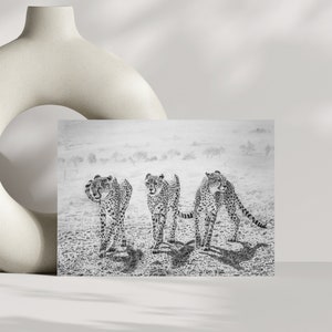 Tarjeta de felicitación de guepardos, tarjeta de 4 x 6 pulgadas, interior en blanco, obra de arte original, tarjeta de arte de vida silvestre
