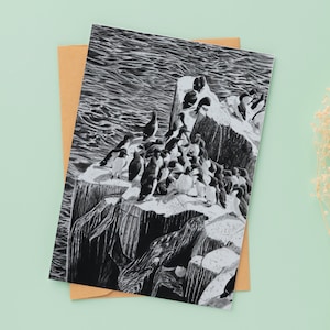 Biglietto d'auguri Guillemots, colonia di Guillemot, biglietto d'auguri per uccelli, biglietto da 4 x 6 pollici, interno vuoto, opere d'arte originali