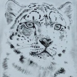 Retrato de leopardo de las nieves de ACEO, arte coleccionable, obra de arte original, 3,5 x 2,5 pulgadas