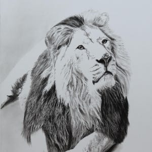 Impressão artística de vida selvagem em Giclée assinada, retrato de leão asiático, impressão de edição limitada tamanho A4 com borda branca