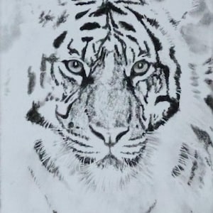 Retrato de tigre de Sumatra de ACEO, obra de arte coleccionable, obra de arte original, 3,5 x 2,5 pulgadas
