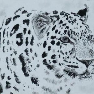 Retrato de leopardo de Amur de ACEO, arte coleccionable, obra de arte original, 3,5 x 2,5 pulgadas