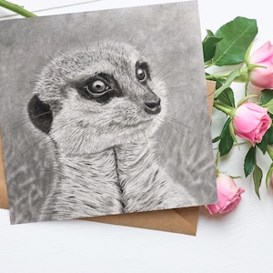 Biglietto d'auguri Meerkat, originale arte della fauna selvatica, vuoto all'interno, carta quadrata 5,5 x 5,5 pollici